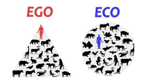 Faculty Attitudes – The Power of Ecosystem Dynamics