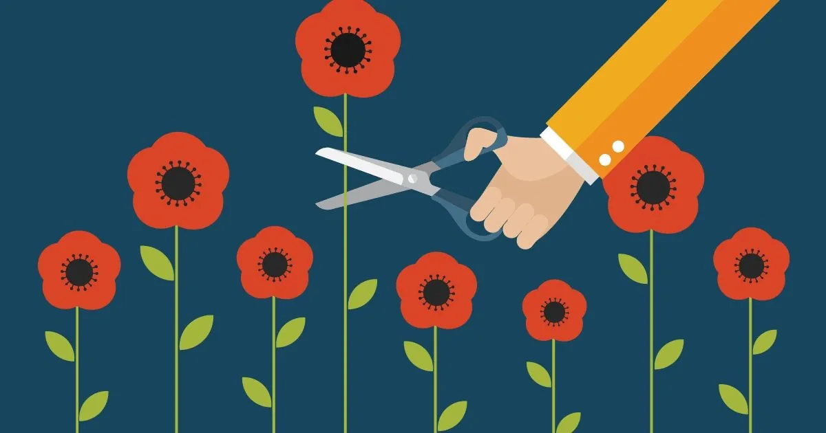 Tall Poppy Syndrome in Academia